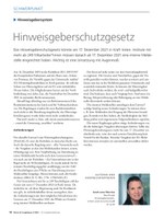PoC 3 2021, Beitrag von Sarah-Lena Tiburtius: Hinweisgeberschutzgesetz